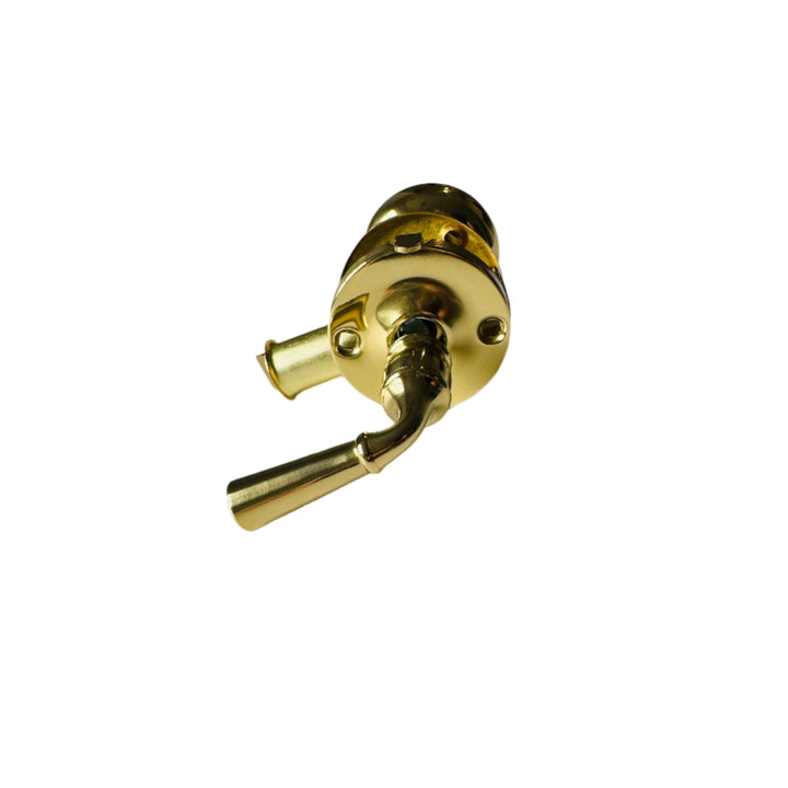 Unlacquered Brass Screen Door Mortise Latch with Knob & Lever