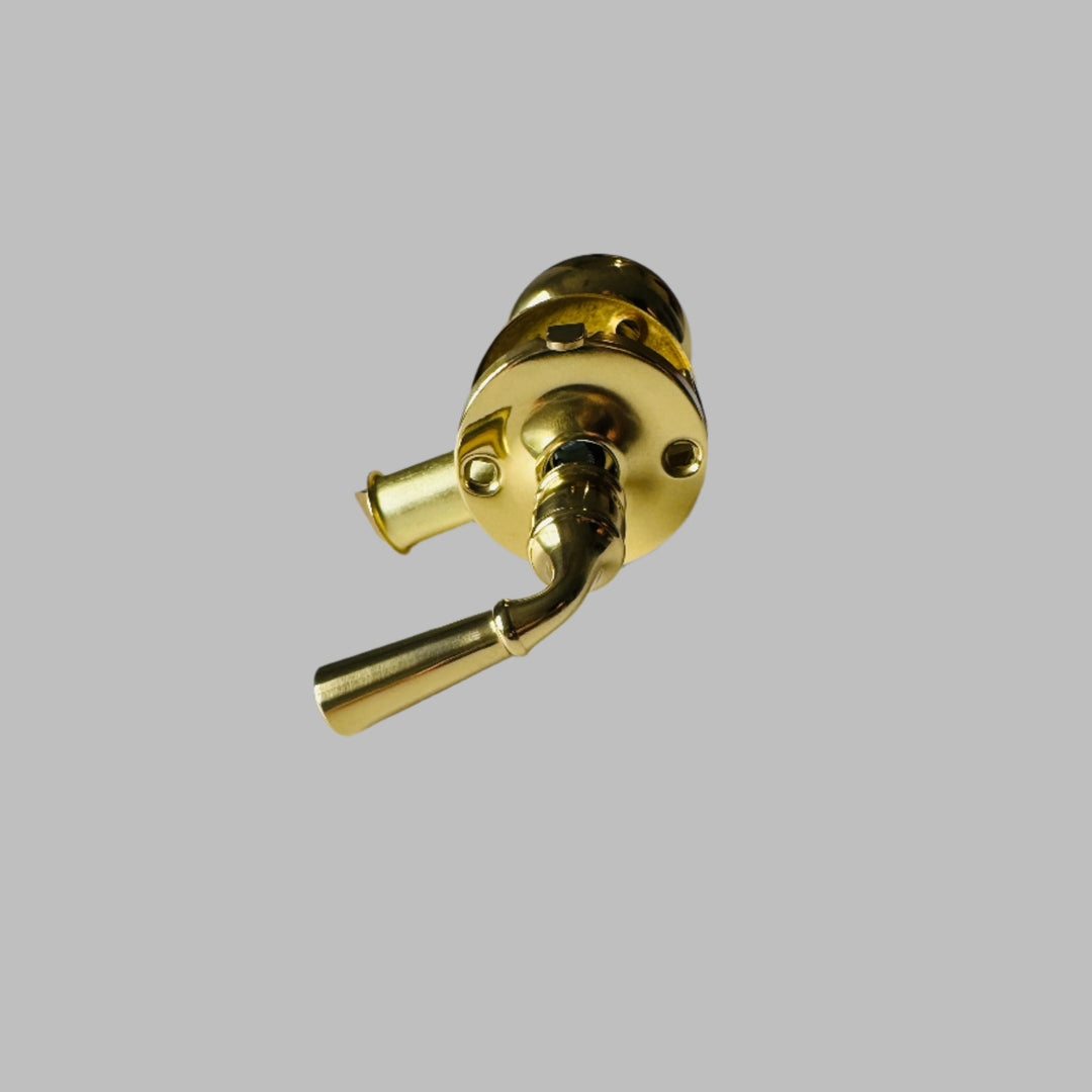 Polished Brass Screen Door Mortise Latch with Knob & Lever