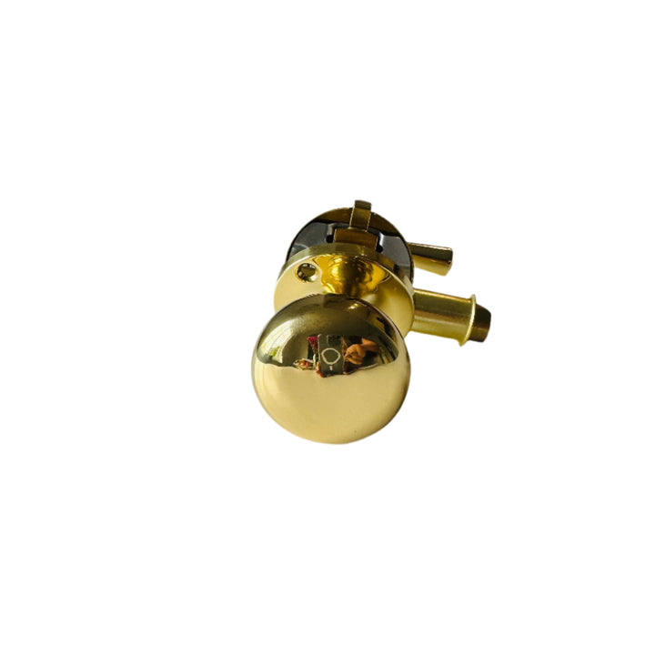 Unlacquered Brass Screen Door Mortise Latch with Knob & Lever