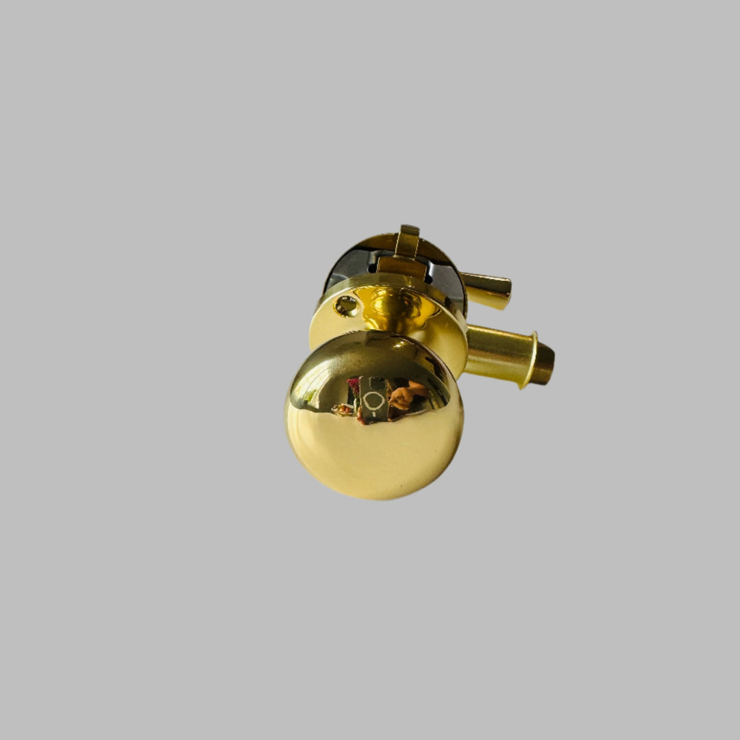 Polished Brass Screen Door Mortise Latch with Knob & Lever