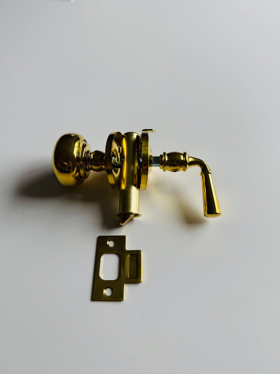 Unlacquered Brass Screen Door Mortise Latch with Knob & Lever