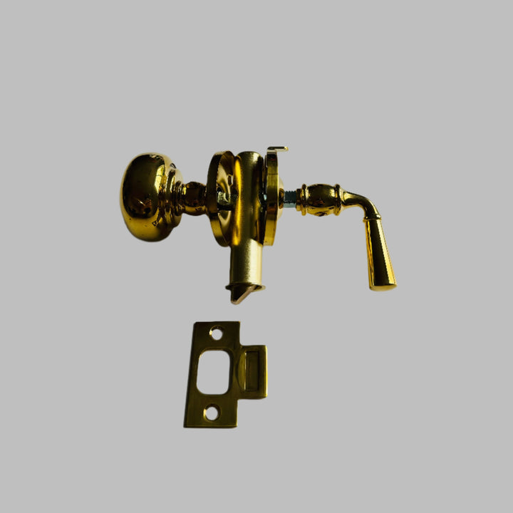 Polished Brass Screen Door Mortise Latch with Knob & Lever