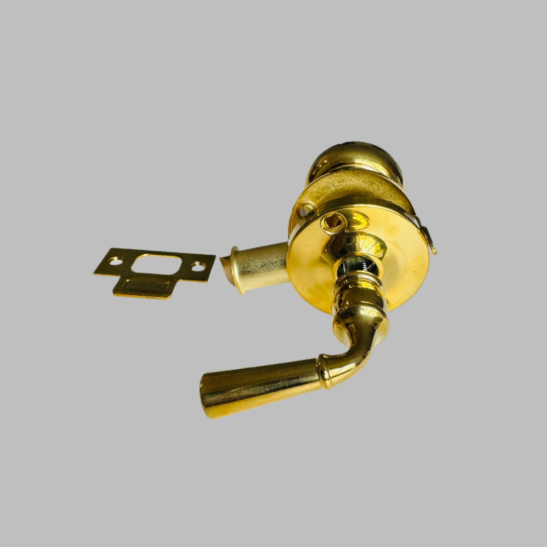 Polished Brass Screen Door Mortise Latch with Knob & Lever