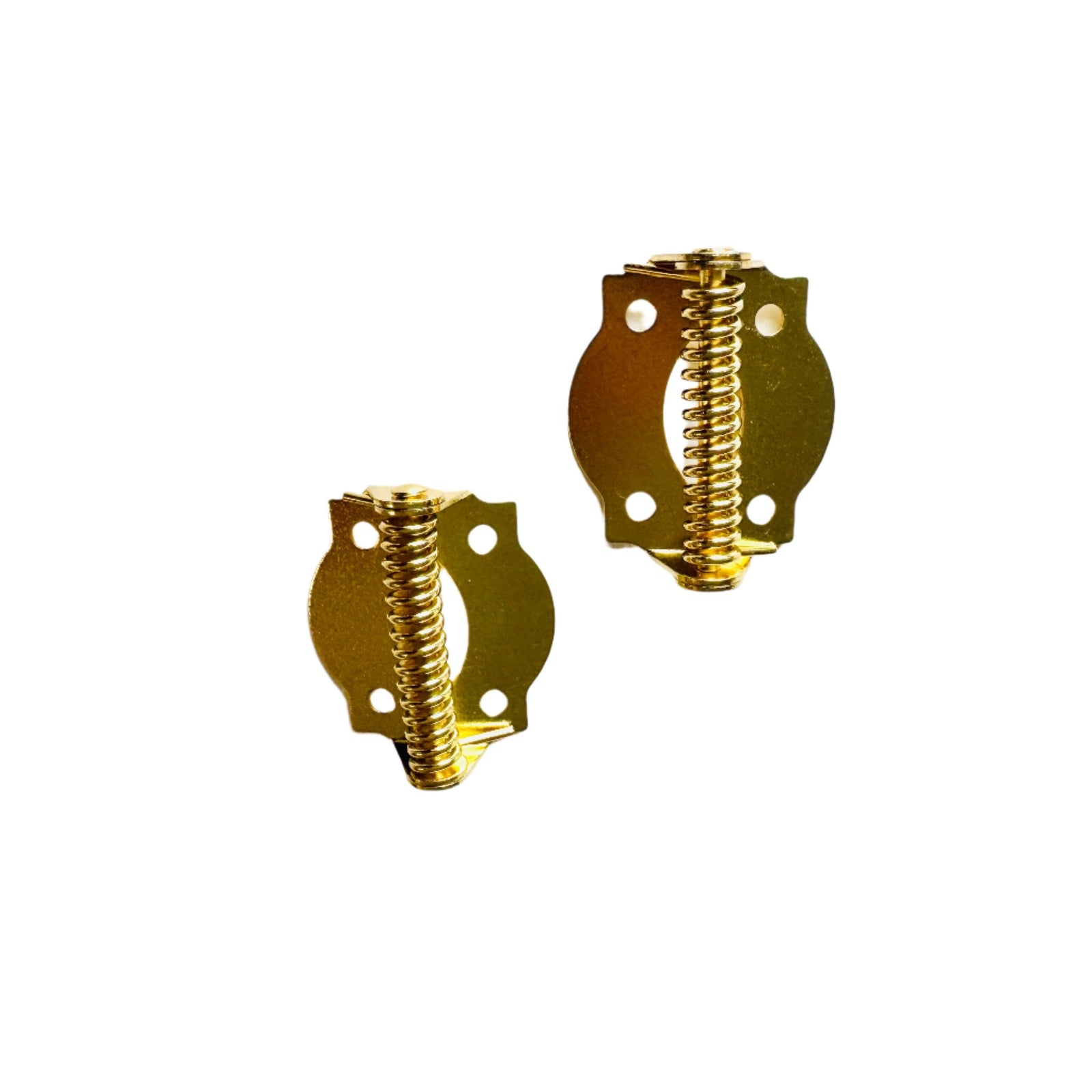 Brass Finished Steel Spring-Loaded Screen Door Hinges - Purdy Hardware - Door Hardware