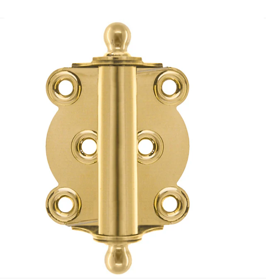 Polished Brass Ball-Tip Spring Door Hinge