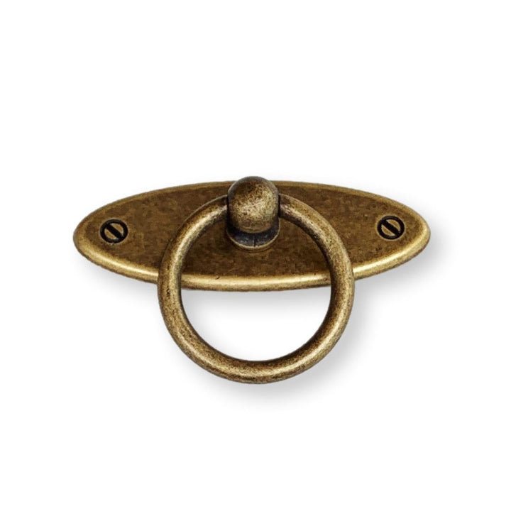 Antique Brass "Riccardo" Ring Pull with Backplate